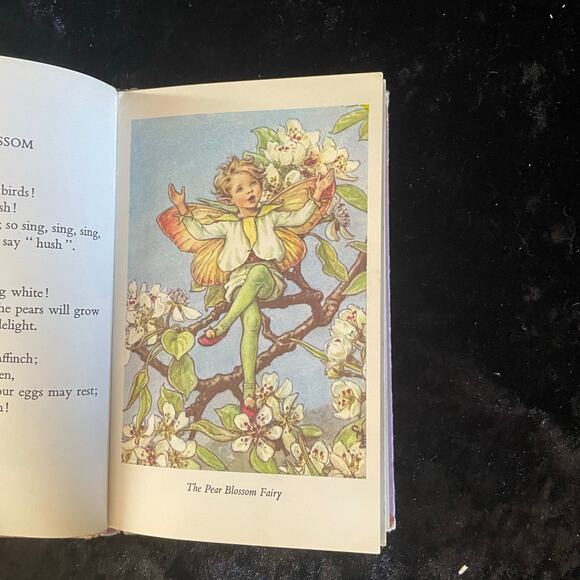 Flower Fairies of the Trees - 1974 Vintage Fairy Book - Picture 6 of 11